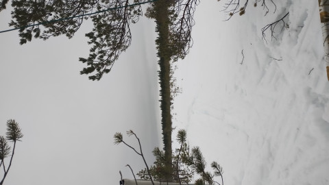 IMG-20240303-WA0004.jpeg