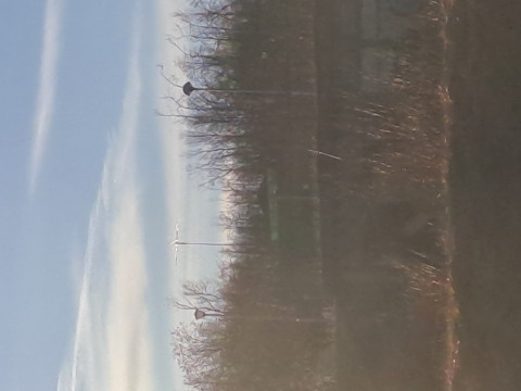 20260516_202840.jpg