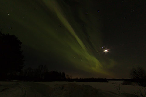 IMG_9007.jpg